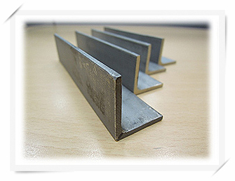 Stainless Steel Angle